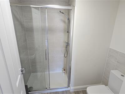 Picture 24
